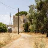Ma ecco oltre gli alberi apparire di fronte a noi un�antica e imponente masseria